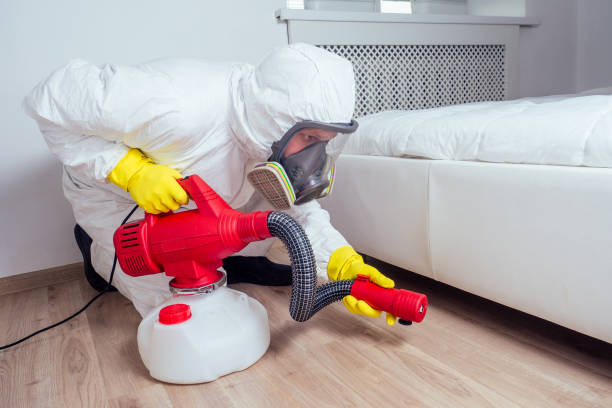 Best Bed Bug Extermination  in Boyce, LA