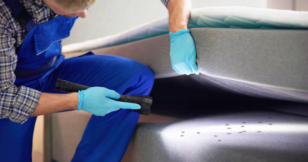 Best Emergency Pest Control  in Boyce, LA